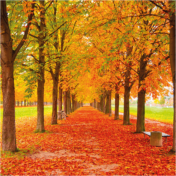 Fall Into Autumn With Ease – 5‑Step Seasonal Wellness Guide