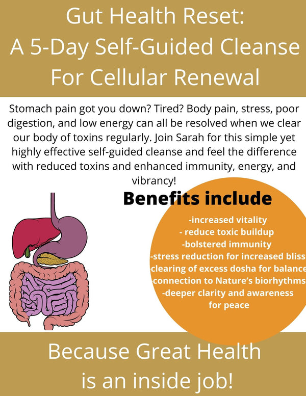 Gut Health Reset- A 5-Day Guided Cleanse